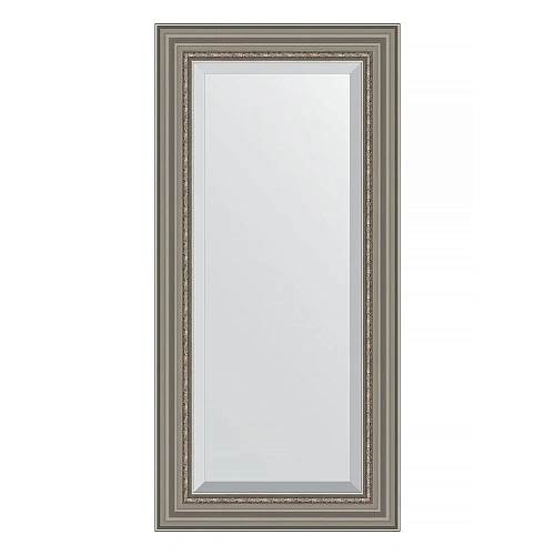 Зеркало в багетной раме Evoform Exclusive BY 1247 56 x 116 см, римское серебро Зеркало в багетной раме Evoform Exclusive BY 1247 56 x 116 см, римское серебро