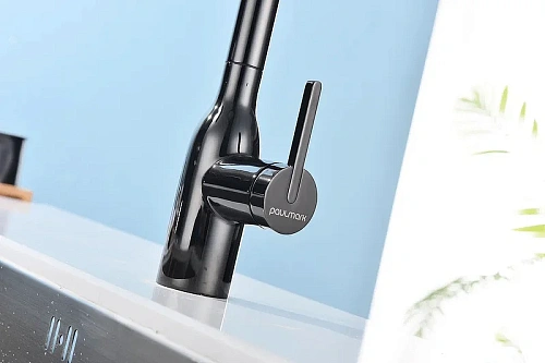 Смеситель для кухни Paulmark Viper глянцевый черный Vi213105-GB Смеситель для кухни Paulmark Viper глянцевый черный Vi213105-GB