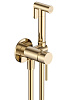Картинка анонса товара «гигиенический душ aquame aqm6217bg siena brushed gold»