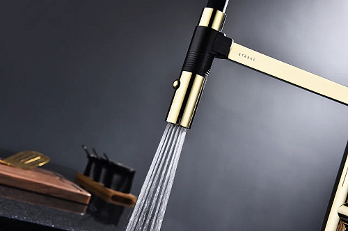 Смеситель для кухни Paulmark Leader золото Le214101-G Смеситель для кухни Paulmark Leader золото Le214101-G