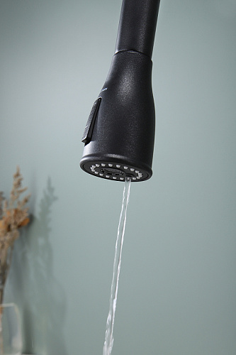 Смеситель для кухни Paulmark LANGE черный La214212-BLM Смеситель для кухни Paulmark LANGE черный La214212-BLM