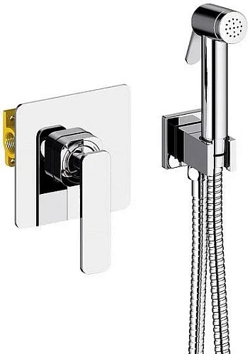 Гигиенический душ Timo Torne 4389/00SM chrome со смесителем Гигиенический душ Timo Torne 4389/00SM chrome со смесителем