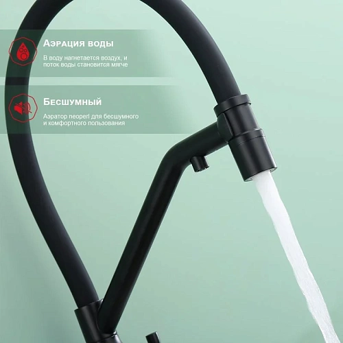 Смеситель для кухни Raglo R81.62.06 с гибким изливом с подключением к фильтру, черный Смеситель для кухни Raglo R81.62.06 с гибким изливом с подключением к фильтру, черный