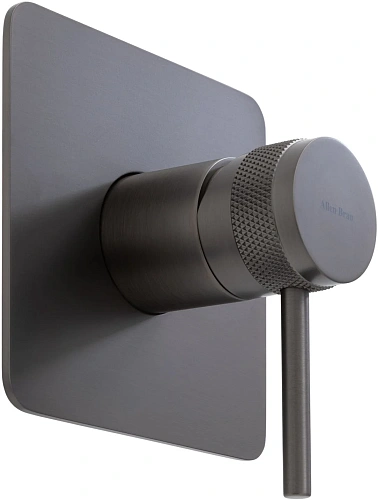 Смеситель для душа Allen Brau Priority 5.31012-MG (с внутренней частью, 1 выход) графит брашированный Смеситель для душа Allen Brau Priority 5.31012-MG (с внутренней частью, 1 выход) графит брашированный