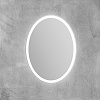 Зеркало BelBagno SPC-VST-600-800-LED-BTN 12W 220-240V 600x30x800 с подсветкой и кнопочным выключателем Зеркало BelBagno SPC-VST-600-800-LED-BTN 12W 220-240V 600x30x800 с подсветкой и кнопочным выключателем