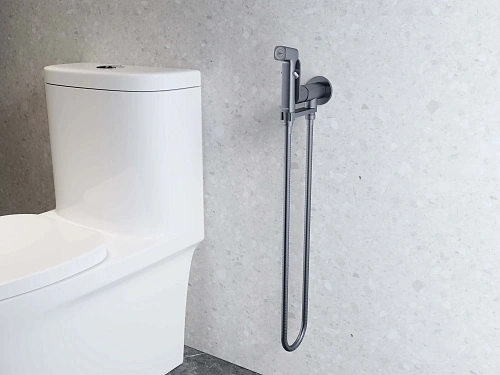 Гигиенический душ Aquatek АЛЬФА AQ1919BGM оружейная сталь Гигиенический душ Aquatek АЛЬФА AQ1919BGM оружейная сталь