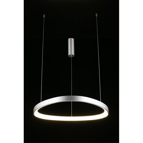 Люстра подвесная Aployt Zula APL.022.13.48 Люстра подвесная Aployt Zula APL.022.13.48