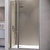 Картинка анонса товара «душевая дверь rgw leipzig le-004gr 1100 мм easy clean серый 351200411-110»