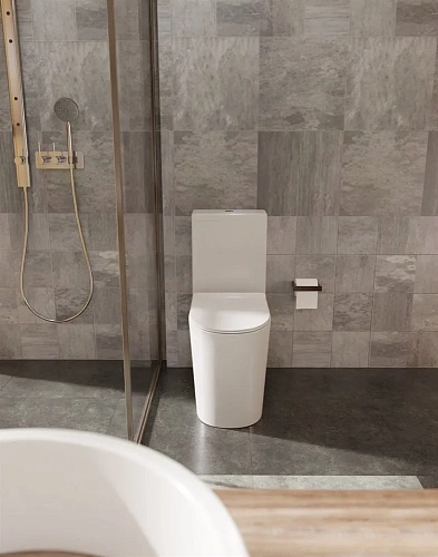 Чаша напольного унитаза AQUAme Rimless AQM1001 c сиденьем SoftClose, горизонтальный выпуск 670x360x4 Чаша напольного унитаза AQUAme Rimless AQM1001 c сиденьем SoftClose, горизонтальный выпуск 670x360x4