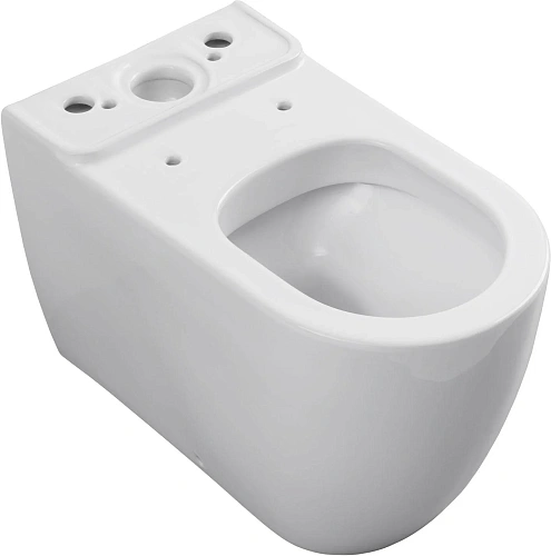 Чаша напольного унитаза Allen Brau Priority 4.31003.20 с крышкой, белый Чаша напольного унитаза Allen Brau Priority 4.31003.20 с крышкой, белый