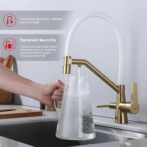 Смеситель для кухни Raglo R80.62.03 с гибким изливом с подключением к фильтру, золотой сатин Смеситель для кухни Raglo R80.62.03 с гибким изливом с подключением к фильтру, золотой сатин