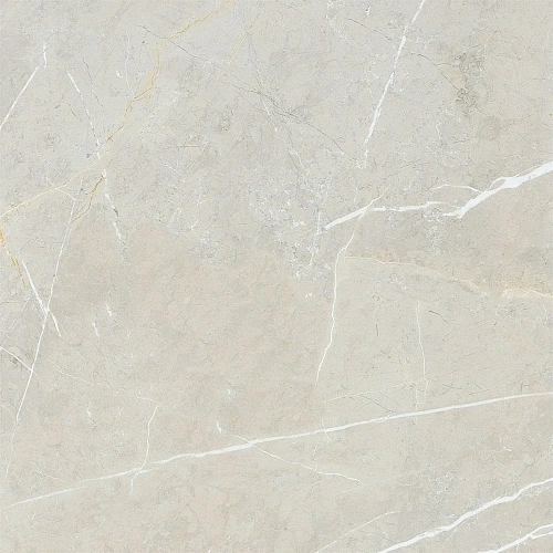 Керамогранит NT Ceramic Bright and Shiny NTT9101 BB6NTT9101P 60x60 Керамогранит NT Ceramic Bright and Shiny NTT9101 BB6NTT9101P 60x60