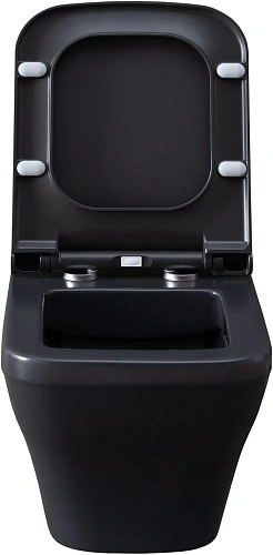 Унитаз подвесной Allen Brau Infinity 4.21011.AN с крышкой, антрацит Унитаз подвесной Allen Brau Infinity 4.21011.AN с крышкой, антрацит