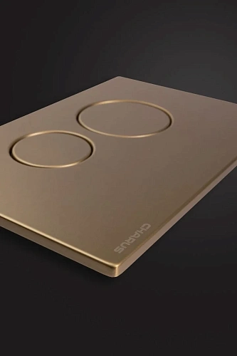 Клавиша смыва CHARUS ROBUSTO FP.330.BTG.05 брашированное золото (светлое) Клавиша смыва CHARUS ROBUSTO FP.330.BTG.05 брашированное золото (светлое)