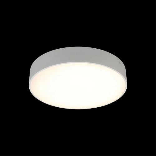 Светильник настенно-потолочный Aployt Evon APL.0113.09.24 Светильник настенно-потолочный Aployt Evon APL.0113.09.24