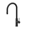 Смеситель для кухни Paulmark Galant антрацит Ga213077-AN Смеситель для кухни Paulmark Galant антрацит Ga213077-AN