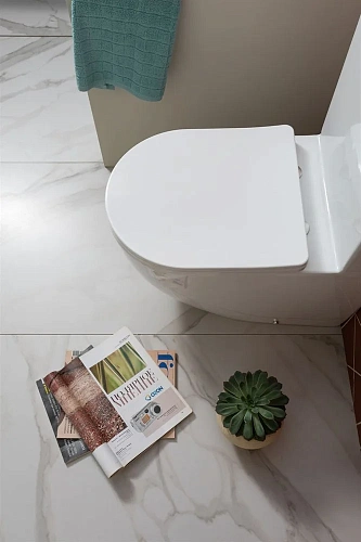 Чаша напольного унитаза Aquanet Rimless Cetus 2.0 C1 LX-2903 с сиденьем Чаша напольного унитаза Aquanet Rimless Cetus 2.0 C1 LX-2903 с сиденьем