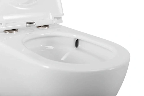 Унитаз подвесной CEZARES RELAX CZR-3806-53-TH-TOR/SC безободковый с сиденьем Унитаз подвесной CEZARES RELAX CZR-3806-53-TH-TOR/SC безободковый с сиденьем