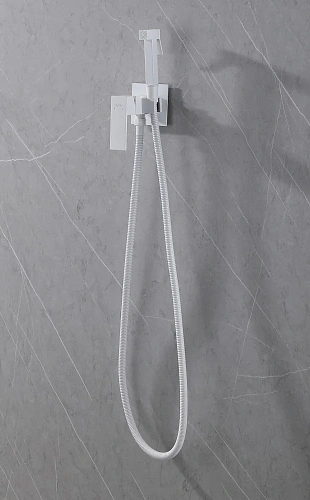 Гигиенический душ ABBER Daheim AF8226Wбелый матовый Гигиенический душ ABBER Daheim AF8226Wбелый матовый