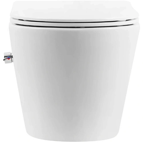Унитаз подвесной Boheme AVVA 973-SET-2-W с функцией биде, белый глянец c крышкой Унитаз подвесной Boheme AVVA 973-SET-2-W с функцией биде, белый глянец c крышкой