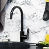 Смеситель для кухни WasserKRAFT Glan 6607 черный Смеситель для кухни WasserKRAFT Glan 6607 черный