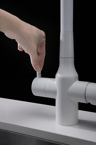 Смеситель для кухни Paulmark SALIX белый матовый Sa213419-WH Смеситель для кухни Paulmark SALIX белый матовый Sa213419-WH