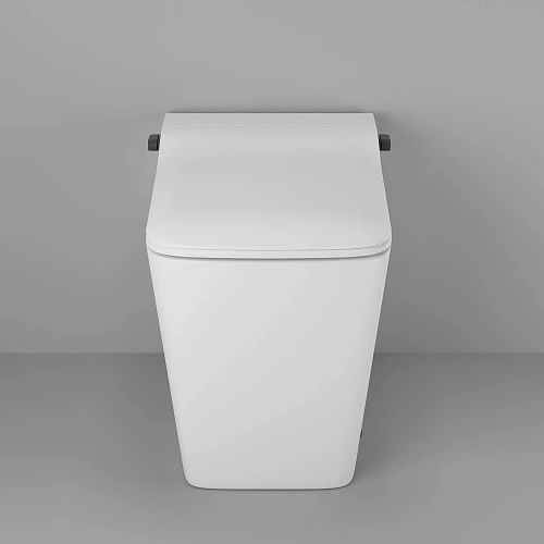 Унитаз приставной Grossman Smart GR-PR-5701 (590х360х460) белый с сиденьем Унитаз приставной Grossman Smart GR-PR-5701 (590х360х460) белый с сиденьем