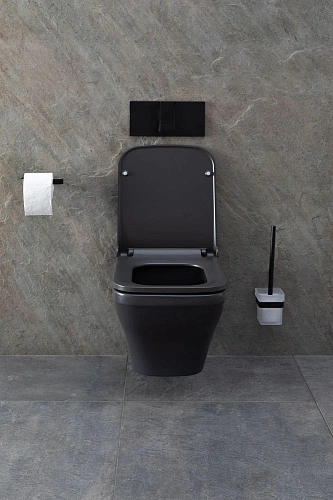 Унитаз подвесной Allen Brau Infinity 4.21011.AN с крышкой, антрацит Унитаз подвесной Allen Brau Infinity 4.21011.AN с крышкой, антрацит
