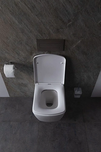 Унитаз подвесной Allen Brau Liberty 4.33004.20 без сиденья Унитаз подвесной Allen Brau Liberty 4.33004.20 без сиденья