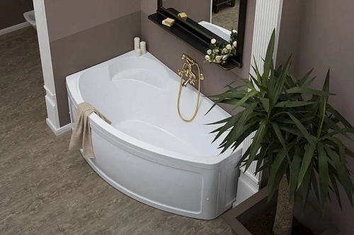 Акриловая ванна Aquanet Sofia 170x90 L 00204039 Акриловая ванна Aquanet Sofia 170x90 L 00204039