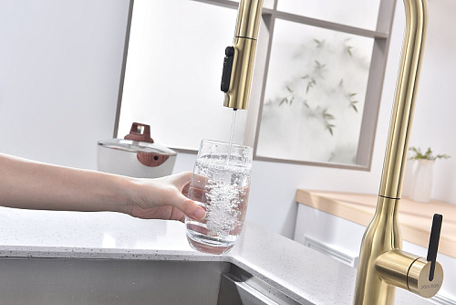 Смеситель для кухни Paulmark UNIVERSAL светлое золото Un213880-LG Смеситель для кухни Paulmark UNIVERSAL светлое золото Un213880-LG