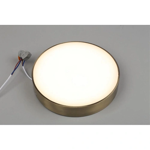 Светильник настенно-потолочный Aployt Evon APL.0113.29.24 Светильник настенно-потолочный Aployt Evon APL.0113.29.24