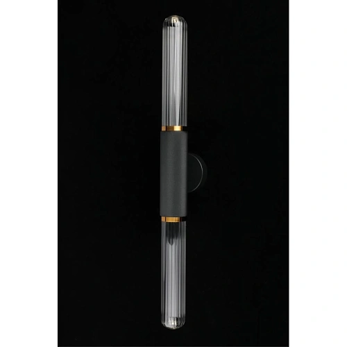 Светильник настенный (Бра) Aployt Brynia APL.307.01.02 Светильник настенный (Бра) Aployt Brynia APL.307.01.02