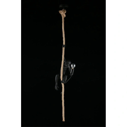 Светильник подвесной Aployt Magali APL.309.16.01 Светильник подвесной Aployt Magali APL.309.16.01