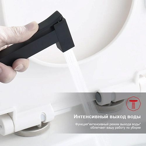 Гигиенический душ Raglo R01.53.06, черный Гигиенический душ Raglo R01.53.06, черный