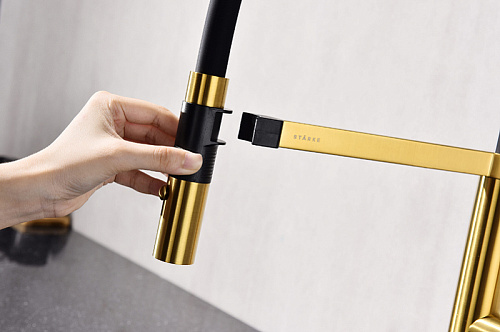 Смеситель для кухни Paulmark Leader брашированное золото Le214101-BG Смеситель для кухни Paulmark Leader брашированное золото Le214101-BG