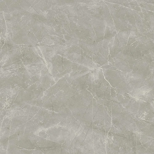 Керамогранит Laparet Wolf Grey 80x80 х9999289550 Керамогранит Laparet Wolf Grey 80x80 х9999289550