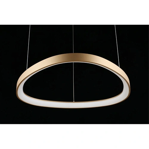 Люстра подвесная Aployt Zula APL.022.03.48 Люстра подвесная Aployt Zula APL.022.03.48