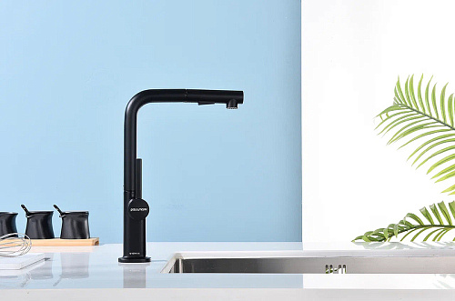 Смеситель для кухни Paulmark NEO антрацит Ne214419-AN Смеситель для кухни Paulmark NEO антрацит Ne214419-AN