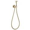 Гигиенический душ ABBER Wasser Kreis AF8125G золото матовое Гигиенический душ ABBER Wasser Kreis AF8125G золото матовое