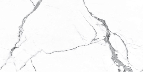 Керамогранит Neodom Matt Statuario Classico Satin 60x120 N20377 Керамогранит Neodom Matt Statuario Classico Satin 60x120 N20377