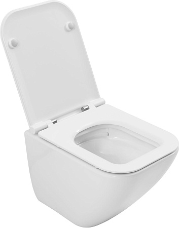 Унитаз подвесной Allen Brau Liberty 4.33012.20 с крышкой, белый