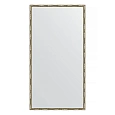 Зеркало в багетной раме Evoform Definite BY 0745 67 x 127 см, серебряный бамбук Зеркало в багетной раме Evoform Definite BY 0745 67 x 127 см, серебряный бамбук