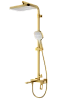 Душевая система Raglo R51.24.03, золотой сатин