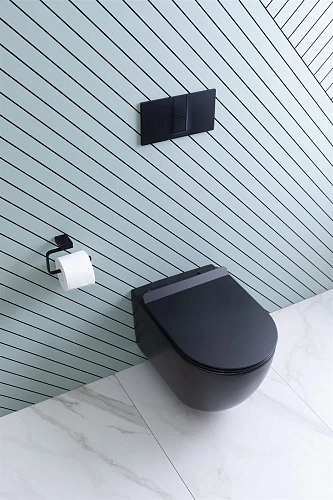 Унитаз подвесной Aquanet Rimless Cetus-BW BL-102N-WHT CETUS-BW с сиденьем Унитаз подвесной Aquanet Rimless Cetus-BW BL-102N-WHT CETUS-BW с сиденьем