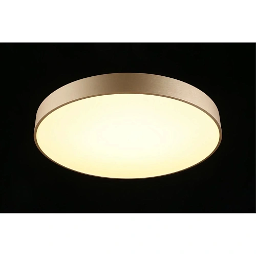 Светильник настенно-потолочный Aployt Virzhini APL.023.07.68 Светильник настенно-потолочный Aployt Virzhini APL.023.07.68