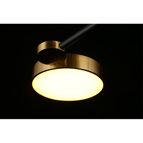 Люстра потолочная Aployt Ines APL.043.07.65 Люстра потолочная Aployt Ines APL.043.07.65