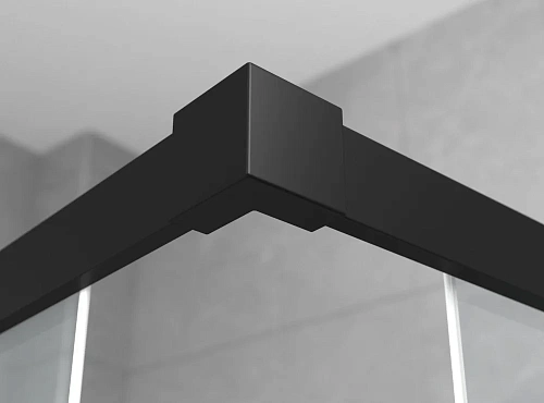 Душевой уголок Ambassador Queen 11011205LBlack (1200x800x2000) Душевой уголок Ambassador Queen 11011205LBlack (1200x800x2000)