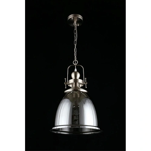 Светильник подвесной Aployt Darunia APL.629.06.01 Светильник подвесной Aployt Darunia APL.629.06.01