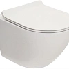 Унитаз подвесной Teso azaro Secretum TAU001 безободковый, цвет белый, сиденье soft-close ультратонк Унитаз подвесной Teso azaro Secretum TAU001 безободковый, цвет белый, сиденье soft-close ультратонк